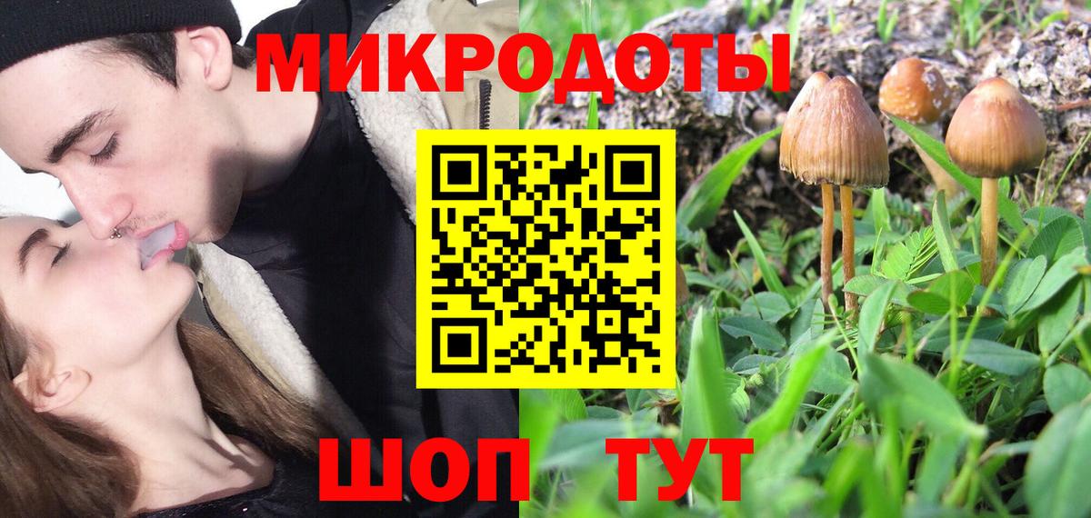 Богданович  Галлюциногенные грибы GOLDEN TEACHER  Вход с VPN 